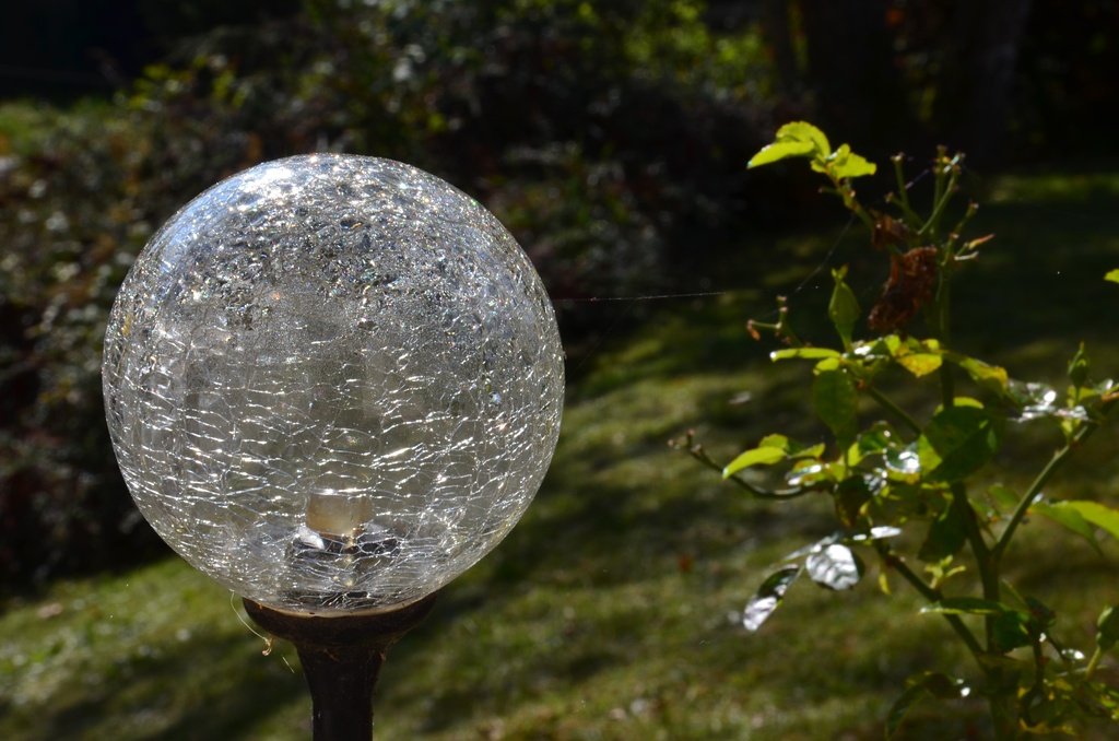 2017-09-23 Boëge/DSC_0116.JPG